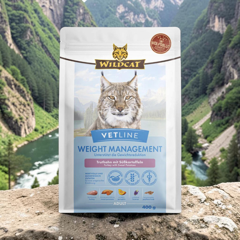 A white packet of Wildcat Vetline Weight Management Cat Food, featuring a lynx face printed on it, is standing on a rock. The label highlights ‘turkey with sweet potatoes for weight loss’. In the background are green mountain slopes and a river.