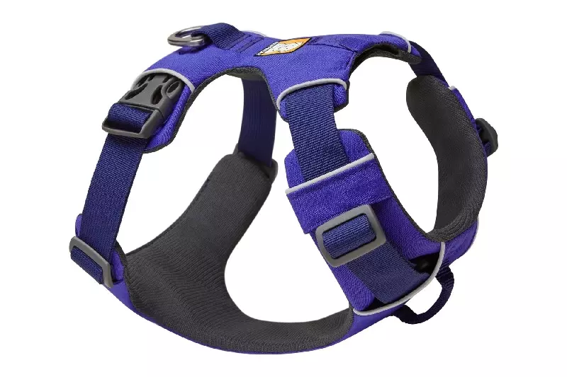 front-range-huckelberry-blue Front Range Hackelberry Blue