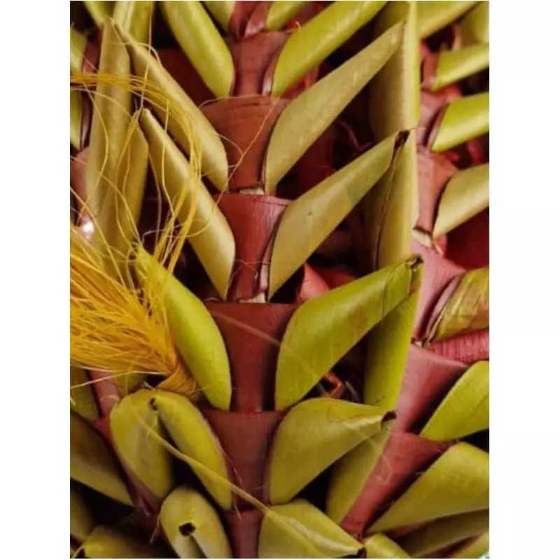 Schredderspielzeug für Vögel Pineapple Schredderspielzeug für Vögel Pineapple