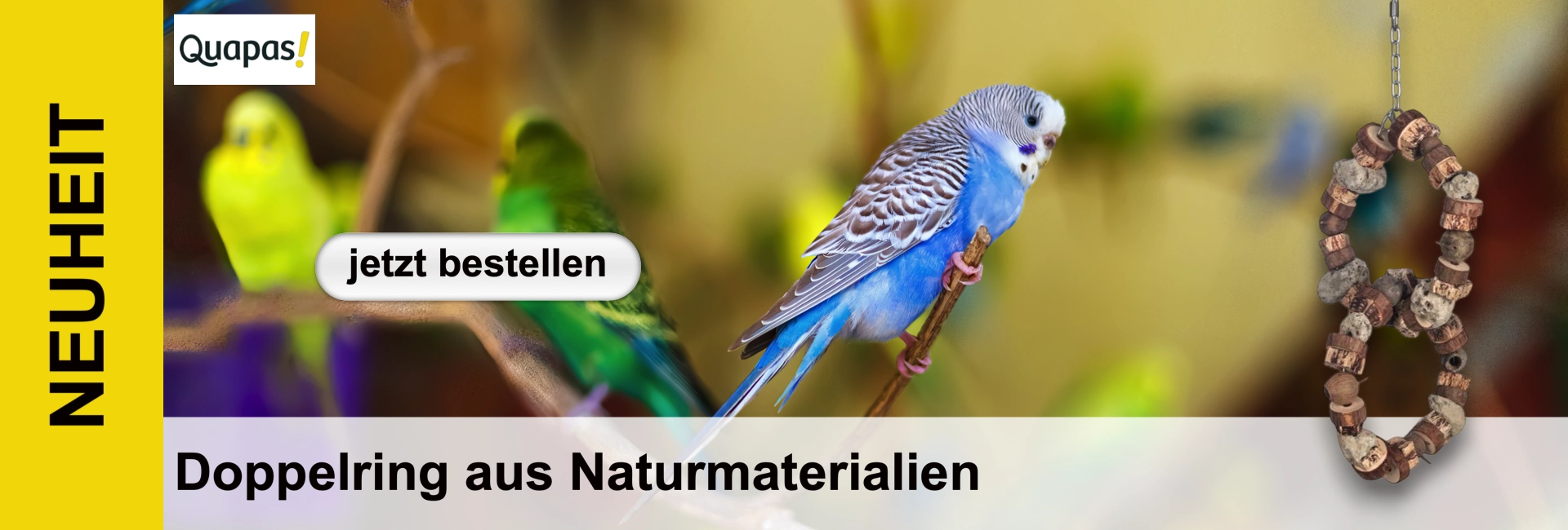 Blauer Wellensittich auf Ast, im unscharfen Hintergrund zwei gelbe und grüne Wellensittiche. Rechts hängt ein vogelsicheres Spielzeug als Doppelring aus Naturmaterialien wie Holzscheiben und Steinen. Links „NEUHEIT“, unten Banner.