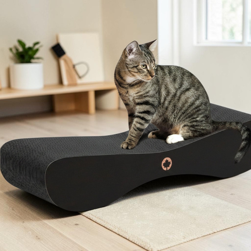 Satellite 2.0 Black Edition scratching board