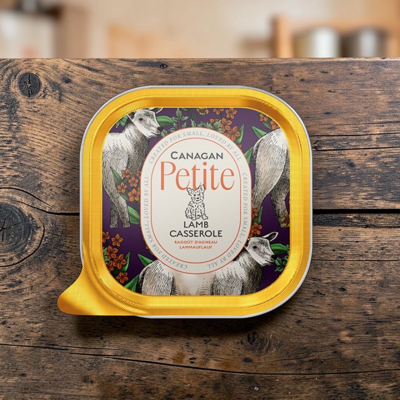 Une barquette dorée de « Canagan Petite Lamb Casserole » pour chiens repose sur du bois foncé. Le couvercle violet est orné d’agneaux blancs, de fleurs orange et de feuilles vertes. Une étiquette ovale indique «Canagan Petite » et « Lamb Casserole ».
