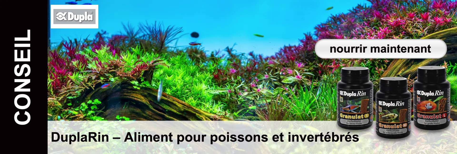 Scène d'aquarium avec des poissons, des plantes et trois récipients noirs pour la nourriture des poissons. Le texte "nourrir maintenant" est visible.
