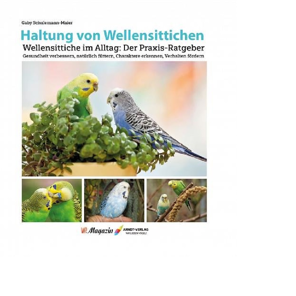 Keeping budgies 