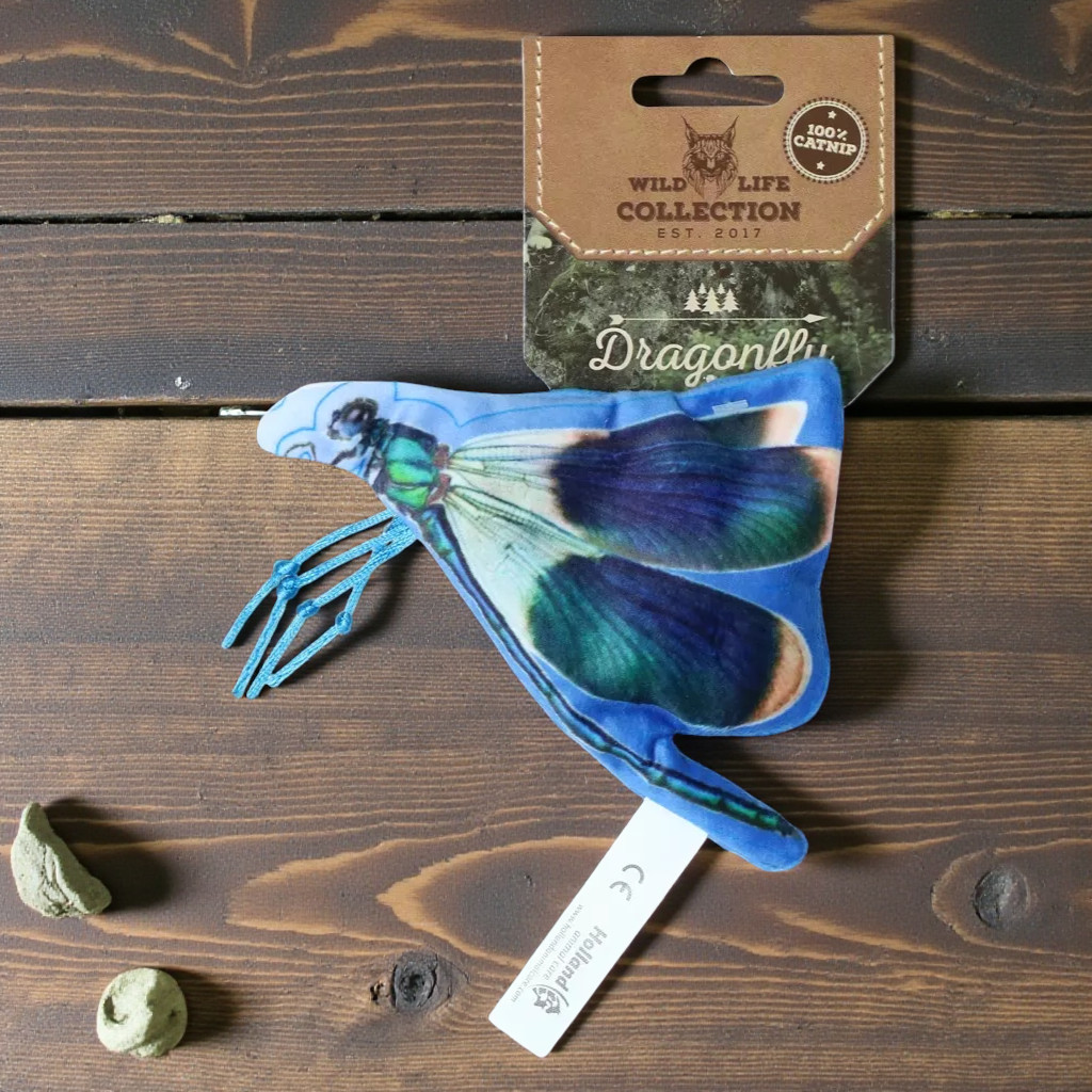 Wild Life Cat Dragonfly 