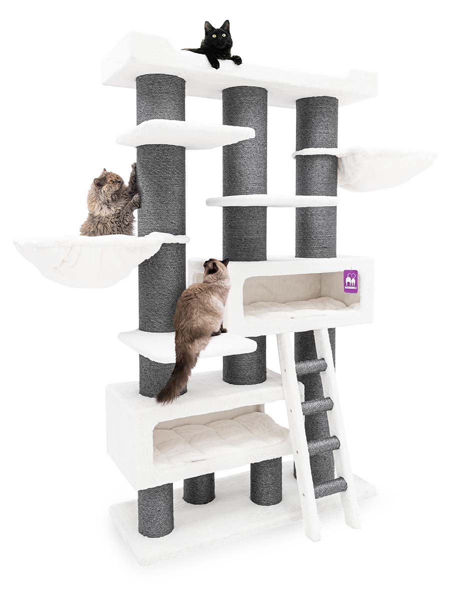 Tiragraffi alto bianco e grigio scuro con tre gatti: un gatto nero sdraiato in cima su una piattaforma. Un gatto grigio-marrone graffia a sinistra su un palo di sisal più in basso. Un gatto beige guarda a destra in una tana con una scaletta.