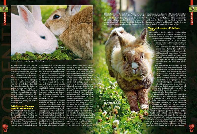 Rodentia 88 - Vom Ohr bis Blume. Fellpflege beim Kaninchen