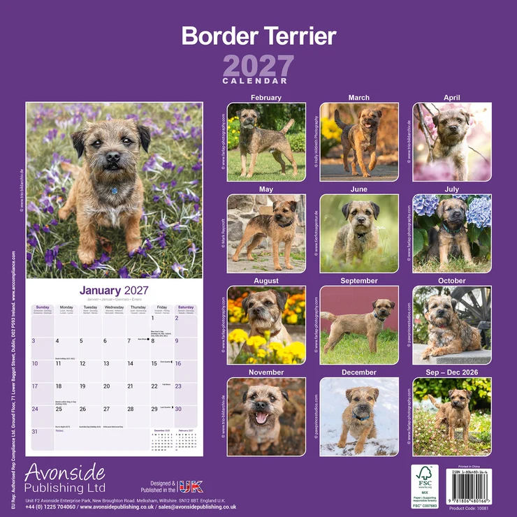 Kalender 2027 Border Terrier