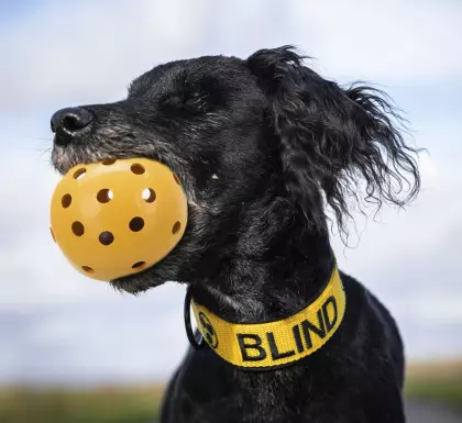 lochball-gelb Lochball