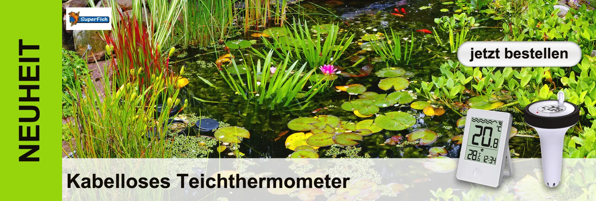 Teichlandschaft mit Seerosen, Fischen und Pflanzen, im Vordergrund ein kabelloses Teichthermometer.