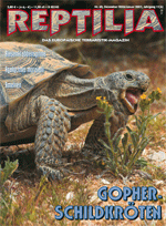 Reptilia Nr.62 Gopherschildkröten