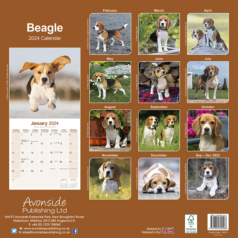 Calendar 2024 Beagle