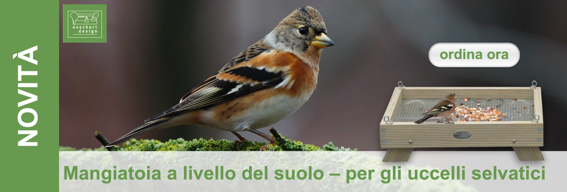 Un fringuello alpino dal piumaggio marrone, arancione e nero è appollaiato su un ramo ricoperto di muschio. A destra, una mangiatoia da terra in legno con del cibo e un uccellino. A sinistra, il banner "NOVITÀ" e un pulsante "Ordina ora".
