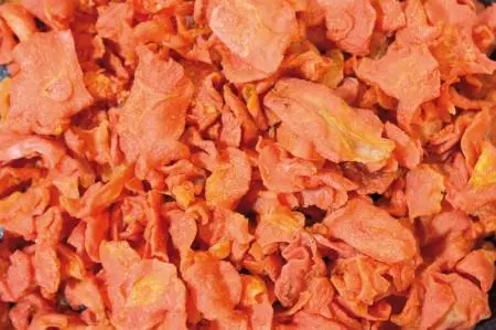 caf5700ab98442fd777ba8ba02355232 JR FARM Karotten-Chips