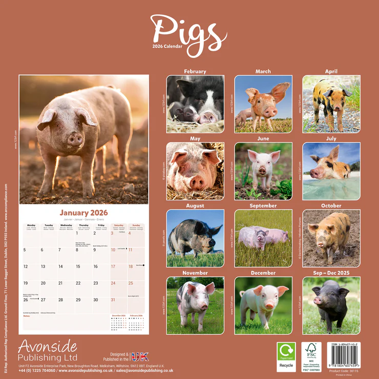 Calendar 2025 Pigs