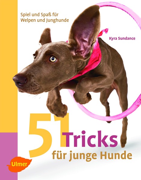 51 Tricks für junge Hunde