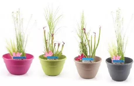 Kit bassin de terrasse - bacs en plastique