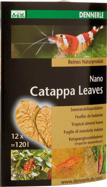 Nano Catappa Leaves 12 pieces