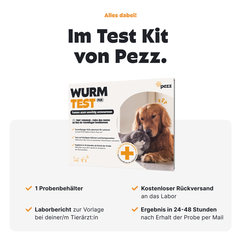 PCR Wurmtest für Hunde und Katzen