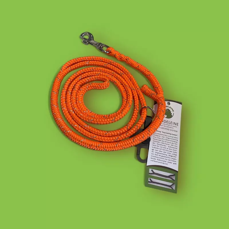 Laisse Dino Reflex 8mm