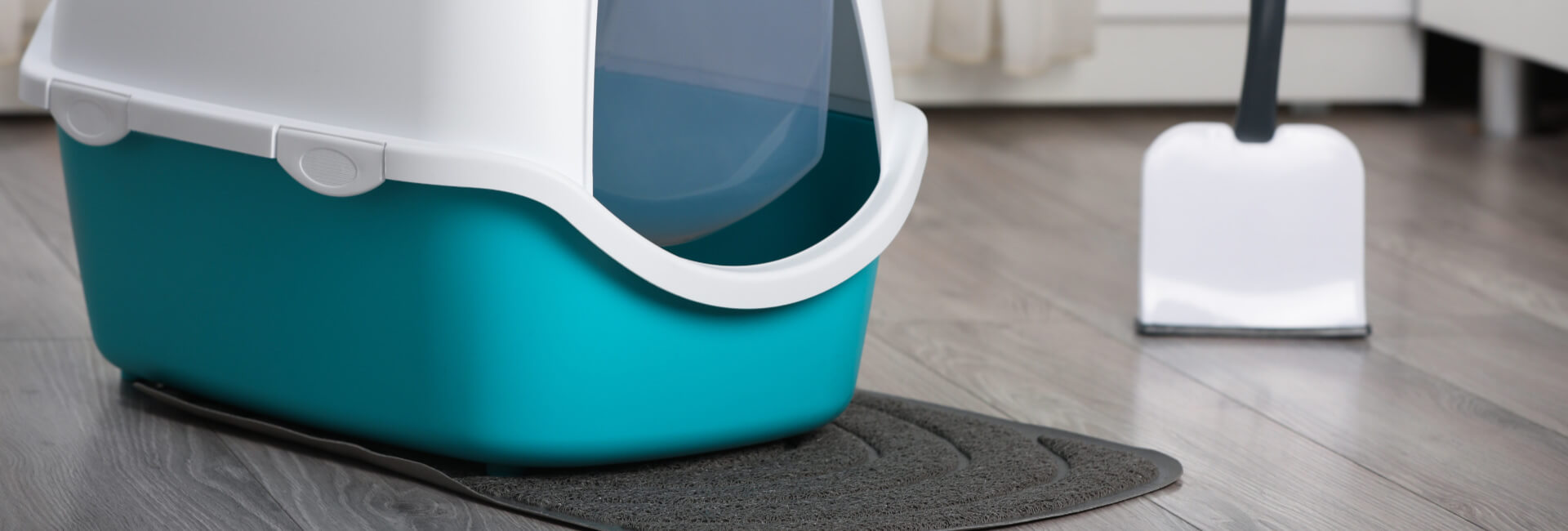 Katzen Hygiene Toiletten Zubehör Katzen Hygiene Toiletten Zubehör
