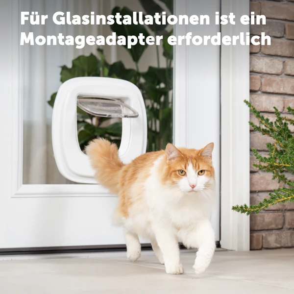 Adaptateur de montage pour porte pour gros chats