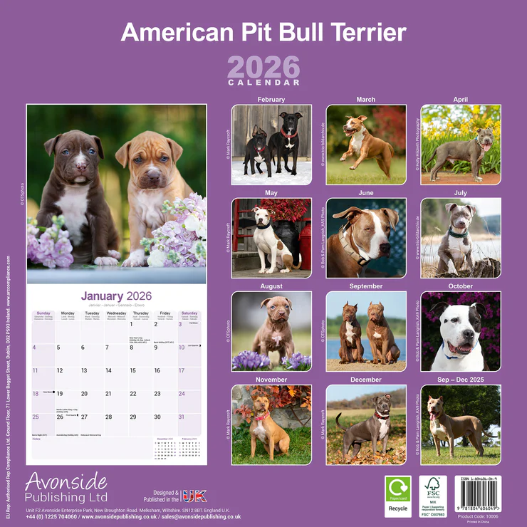 Calendar 2025 American Pit Bull Terrier