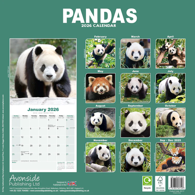 Calendar 2025 Pandas
