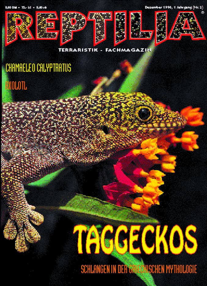 Reptilia 02 - Taggeckos