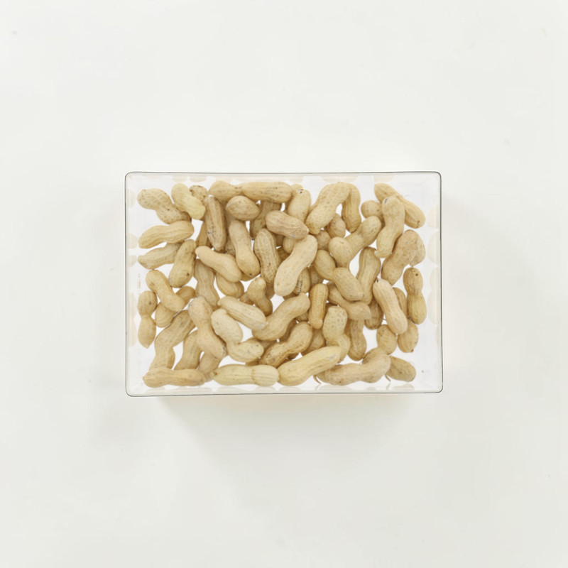 A rectangular bowl containing unshelled peanuts. Lots of light-coloured, beige-brown nuts with their natural skins are packed tightly together. The bowl is set against a light-coloured background, viewed from above. Ideal as a snack for birds.