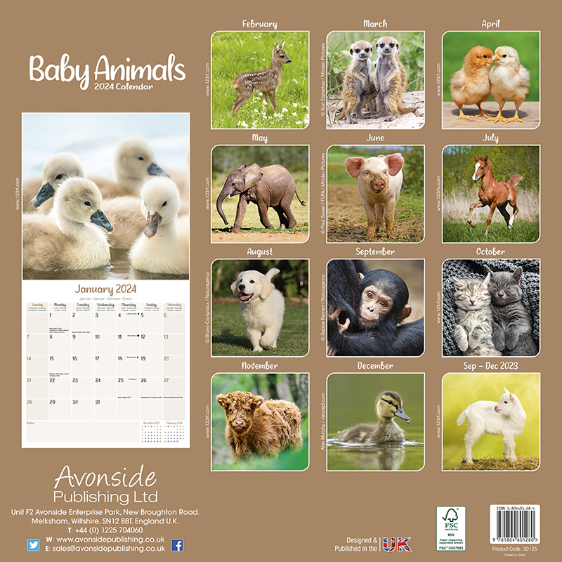 Kalender 2024 Tierkinder - Baby Animals