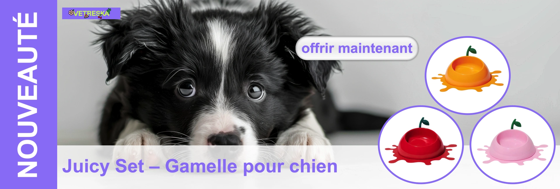 promo-juicy-set-chien-apf-fr