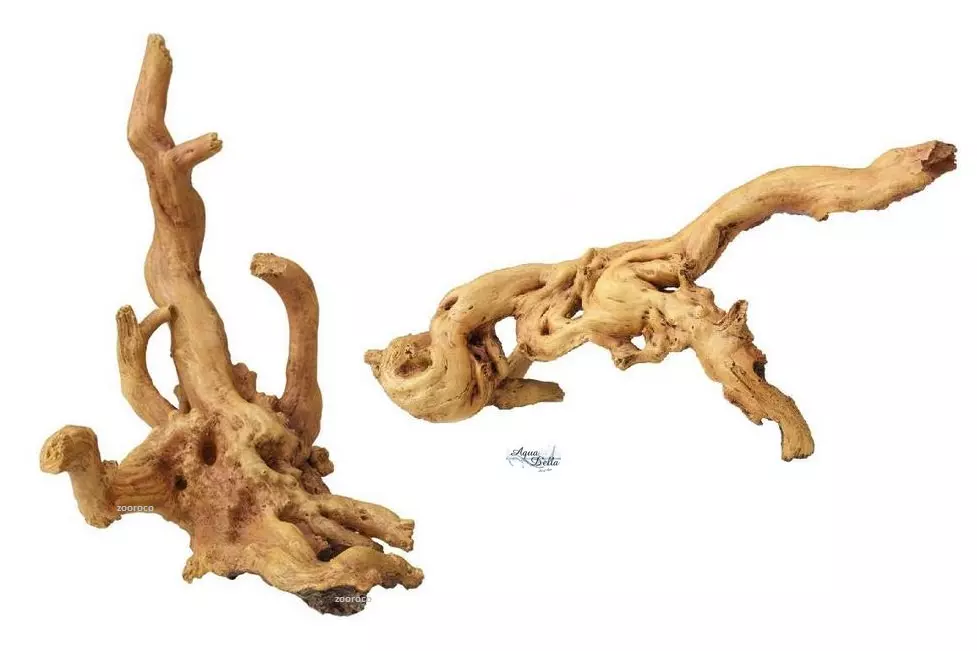 Aqua Della Coffee Root