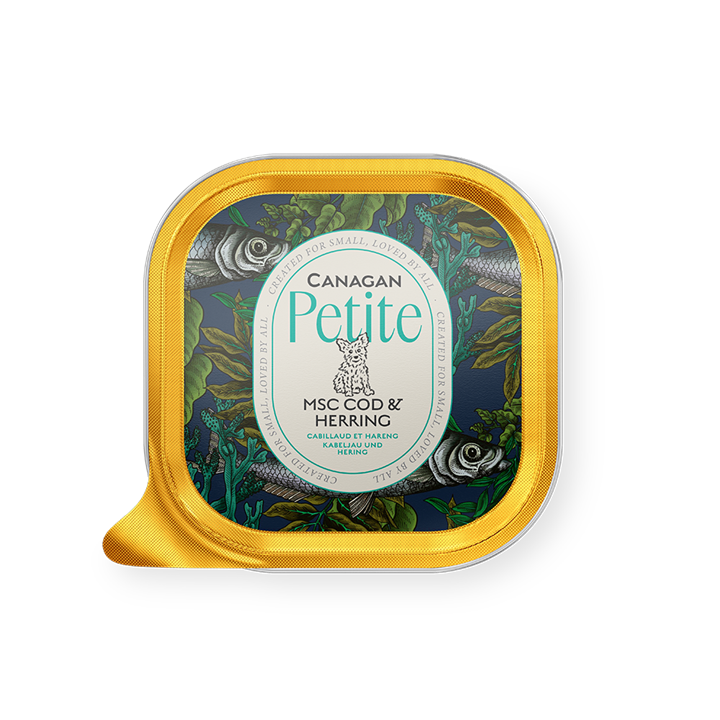 Barquette alu dorée « Canagan » petite, nourriture pour chiens. Étiquette bleu foncé avec monde sous-marin, poissons et plantes aquatiques vertes. Ovale blanc avec logo, petit chien, texte «MSC Cod & Herring» petits chiens.