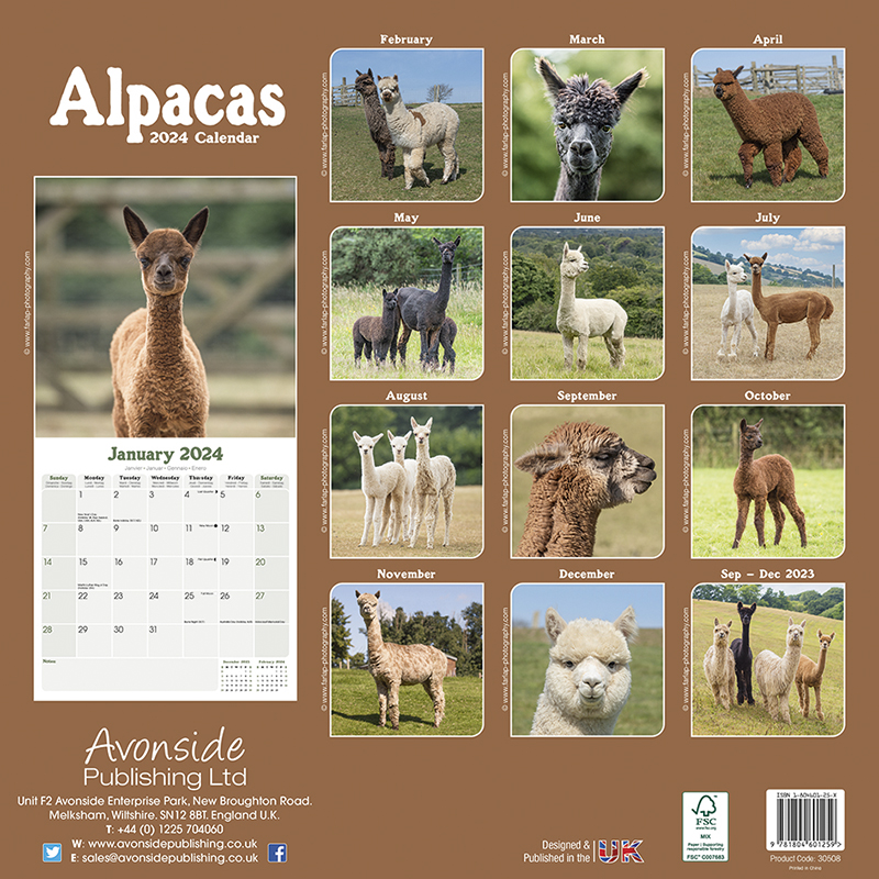 Calendar 2024 Alpacas