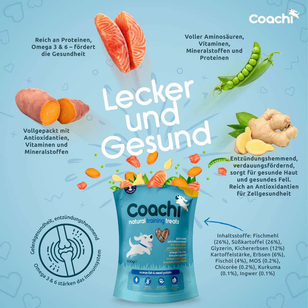 Coachi Natural - Training Treats - Ozean Fisch