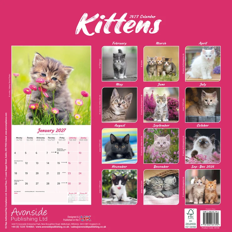 Kalender 2027 Kätzchen - Kitten