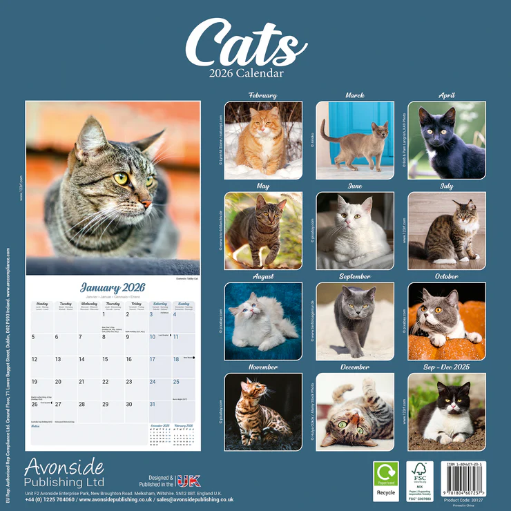 Calendar 2025 Cats - Felis