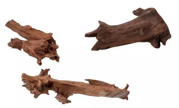 Amtra Jati Wood S ca. 15-25cm