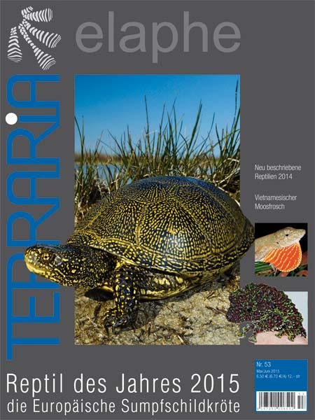 Terraria 53 - Die europäische Sumpfschildkröte