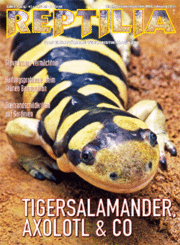 Reptilia Nr. 67 Tigersalamander, Axolotl &Co