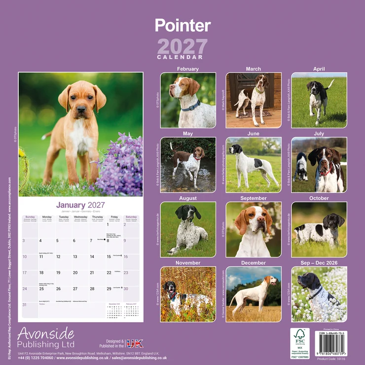 Kalender 2027 Pointer - English Pointer