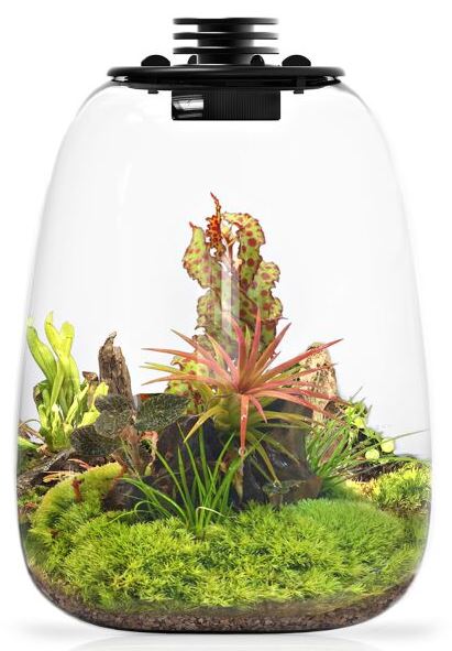 Wabi-Kusa Bio Bottle LED QD172