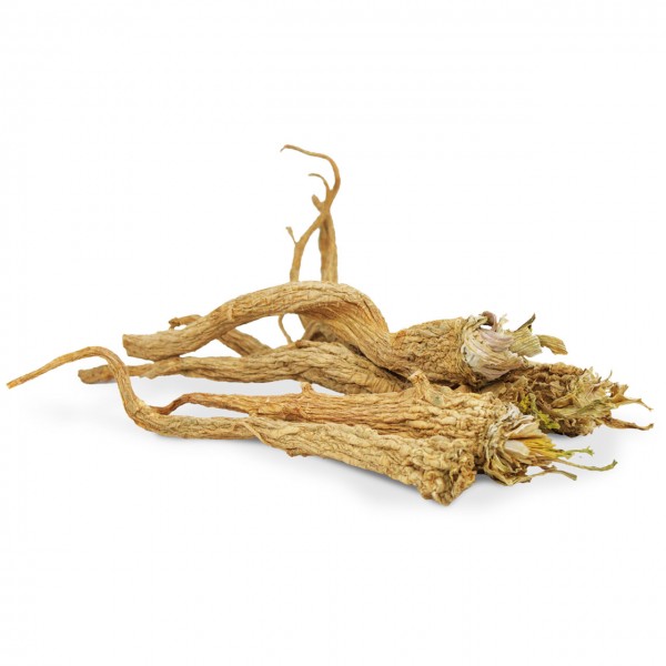 Several dried, light brown plant roots lie on a white background. The elongated, slightly thickened pieces appear wrinkled and rough. Some are branched, and fine fibrous structures are visible at the ends.