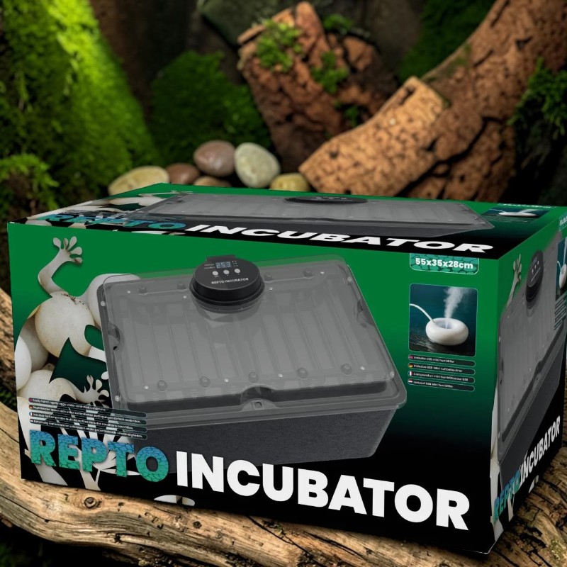Grüne Verpackung eines Reptilien-Inkubators auf einem rustikalen Holzstamm. Die Box zeigt den grauen Inkubator mit transparentem Deckel und Digitalanzeige (25.3), daneben einen kleinen Befeuchter. Unscharfer Terrarium-Hintergrund.