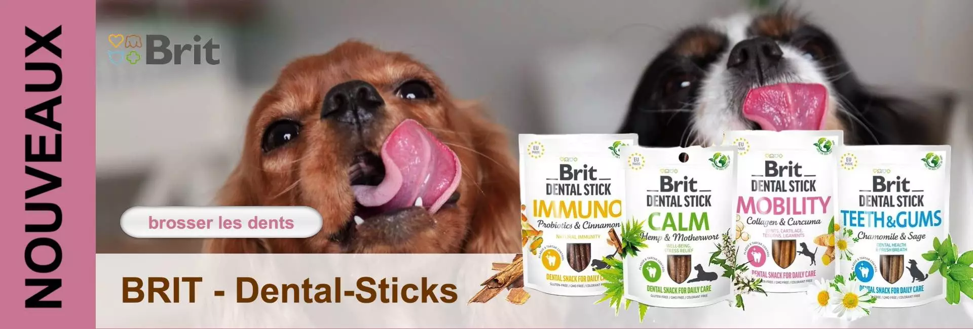 banner-brit-dentalstick-fr