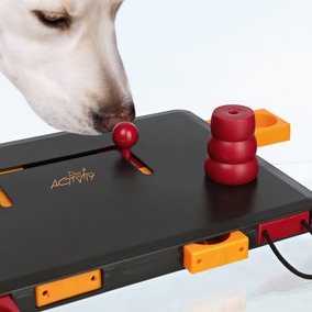 Dog Activity Strategiespiel Move2Win