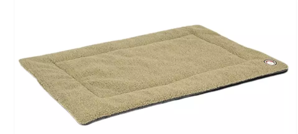 Coperta di lana Doggy per cani coriandolo