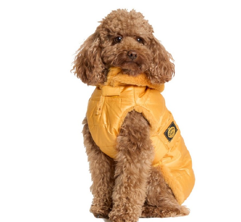 Quilted coat with detachable hood and faux fur lining mustard yellow