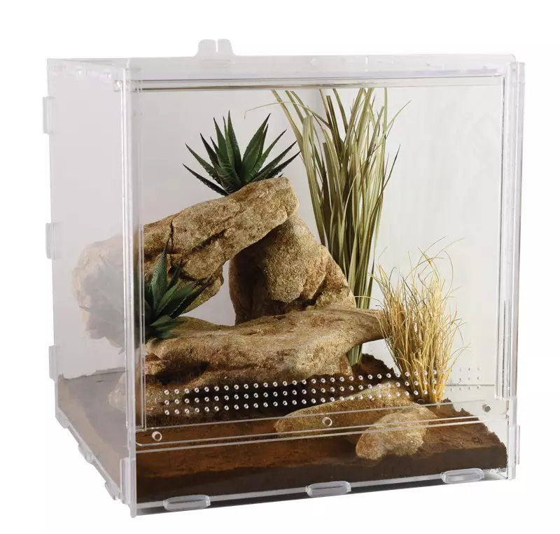 Clear 30x30x30cm LifeTarrium with stones, plants and substrate.